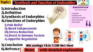 Synthesis and function of Endorphins  Synthesis of Endorphins  function of Endorphins [upl. by Ecydnak]