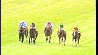 1998  Newmarket  Craven Stakes  Xaar [upl. by Nerrol124]