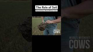 What happens to soil when you take the cows off the land 🐄🌱 [upl. by Sparhawk]