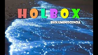 HOLBOX BIOLUMINISCENCIA [upl. by Rollet358]