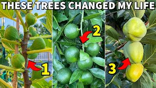 The 3 Fruit Trees That Changed My Life FOREVER [upl. by Enirok]