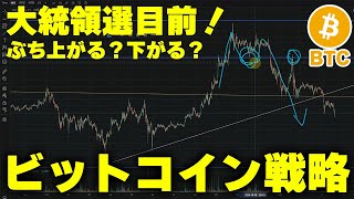 大統領選でビットコイン最高値更新はあるのか？一大局面のトレード戦略解説【仮想通貨】 [upl. by Duke]