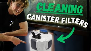 Easy Canister Filter Setup Cleaning and Maintenance [upl. by Mosora]