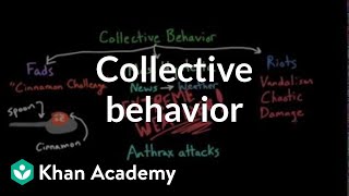 Aspects of Collective Behavior Fads Mass Hysteria and Riots  Behavior  MCAT  Khan Academy [upl. by Noryb]