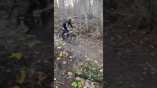 Session Evo bike Park 🔥🔥 mtbenduro dh [upl. by Yenruoj825]