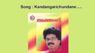 Kandangari chundane  Thankathoni [upl. by Danialah]