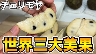 【レア果実】チェリモヤ「ビッグシスター」の食レポ！世界三大美果を食べる！糖度はどのくらい！？【ゆす村農園東さんありがとうございます！】Cherimoya quotBig Sisterquot [upl. by Schoenberg876]