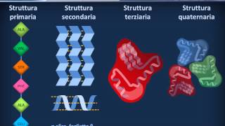 Citologia 08  Proteine [upl. by Elrebmik]