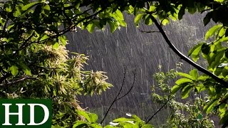 Lluvia HD  Sonido de Lluvia y Sonidos de la Naturaleza  Dormir [upl. by Reeve]