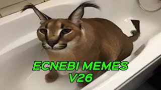 ECNEBI MEMES V26 [upl. by Merideth]