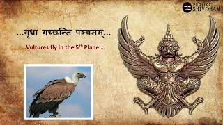 The Untold Story of BIRDS in Sri Ramayanam Project Shivoham [upl. by Adnylem582]