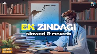 Ek Zindagi Slowed  Reverb  Angrezi Medium  Sabki Rok Hai Tok Hai [upl. by Mairim535]