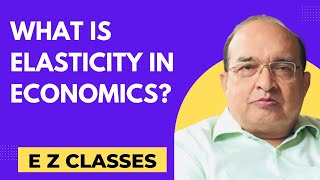 What is Elasticity in Economics [upl. by Anelak]