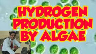 HYDROGEN PRODUCING ALGAE  TAMIL EXPLANATION  பாசிகளால் ஹைட்ரஜன் உற்பத்தி [upl. by Bale]