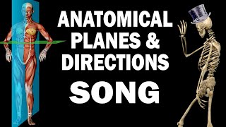 ANATOMICAL PLANES AND DIRECTIONS SONG [upl. by Inol]