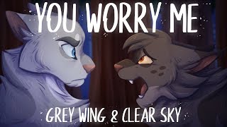 YOU WORRY ME【Grey Wing amp Clear Sky  PMV】 [upl. by Colly]