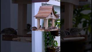 CREATE Your Own WOODEN Bird Feeder from RECYCLED Wood [upl. by Yasibit]