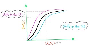 Oxygen Hemoglobin Dissociation Curve with a mnemonic [upl. by Draw]