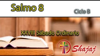 Salmo 8Sábado 19 de Octubre ¡Qué admirable Señor es tu poder  CicloB  SHAJAJ [upl. by Earased173]