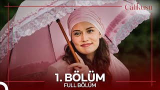 Çalıkuşu 1 Bölüm [upl. by Mafala]