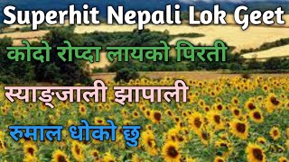 Superhit Nepali Lok Geet  Kodo Ropda Layeko Pirati  Syangjali Jhapali  Rumal Dhoko chhu [upl. by Stesha348]