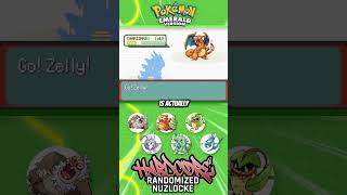 THE FINAL GYM CHALLENGE  Pokémon Emerald Hardcore Randomized Nuzlocke pokemon nuzlocke [upl. by Cyrano]