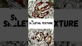 Igneous Textures Part 4  Igneous Petrology  Petrography  Geology [upl. by Eislrahc]