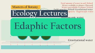 Edaphic Factors Soil  Soil formation Soil Horizons Soil Texture Soil Types  Important Terms [upl. by Un414]