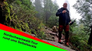 Herbstwanderung vom Seibelseckle an der Schwarzwaldhochstrasse über Hinterlangenbach an den Wildsee [upl. by Willumsen830]