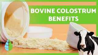 BOVINE COLOSTRUM 🥛🐮 12 Health Benefits You Need to Know [upl. by Riccardo]