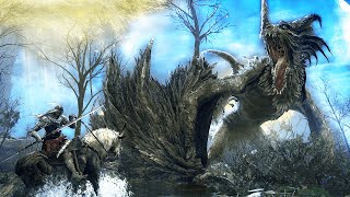 Elden Ring DRAGON Bosses RANKED by Difficulty [upl. by Jammie]