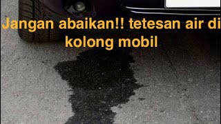 Tetesan air di kolong mobil Bahaya atau tidak [upl. by Grenville92]