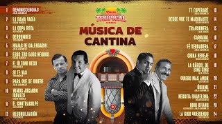 Lo Mejor De La Música Popular Música De Cantina [upl. by Gae]