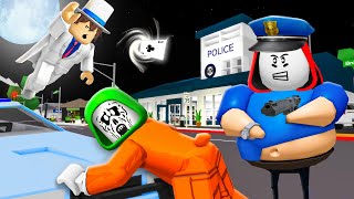 POLICE vs CRIMINAL and SUPER THIEF  Maizen Roblox  ROBLOX Brookhaven 🏡RP  FUNNY MOMENTS [upl. by Olim]