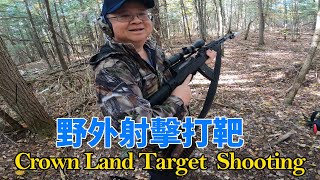 野外打靶  Crown Land Target Shooting [upl. by Ojoj]