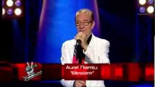 Auditii pe nevazute  Prima Editie  Aurel Niamtu  Vocea Romaniei 2013 S3 [upl. by Fortune517]