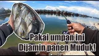 FISHING VLOG  Spot AntiBoncos Pesta Muduk di lokasi ini  Umpan murah meriah [upl. by Ayoj465]