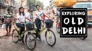 OLD DELHI VLOG  Exploring Old Delhi on a Cycle with Travel Vlog IV  Chandni Chowk and More [upl. by Raychel]