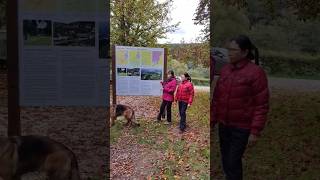 Ouren park place shortsvideo touristplace hiking [upl. by Cirdor503]