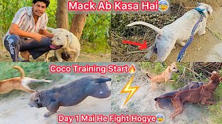 Mack Ko Dekhne Gye Mack Kasa Hai Ab🤕 Coco Ko Training Par Le Gye🐶But Phla He Din Panga Hogya😰 [upl. by Weiman133]