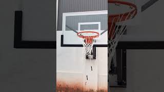 Wall Mounted Adjustable Basketball Hoop [upl. by Omolhs]