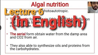 Algae Lecture 6  Algal Nutrition [upl. by Einaffyt]