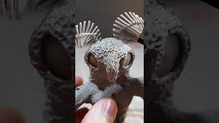 I made Mothman sculpture clay cryptids mothman [upl. by Aselehc]