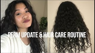 Perm Update and Hair Care Routine [upl. by Nellad]