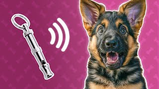 Dog Whistle Sound  Ultrasonic Sound for Dogs [upl. by Seuqram]