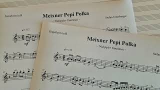 Meixner Pepi Polka  Stefan Unterberger [upl. by Nedda]