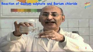 Reaction of Sodium sulphate and Barium chloride [upl. by Rodi]