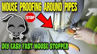 Mouse Rat Proofing Around Pipes Stop Rodents from entering Around Pipes DIY EASY FAST MOUSE STOPPER [upl. by Zetes]