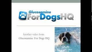 Glucosamine for Dogs Dosage Recommendation [upl. by Assyle145]