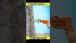 Maple syrup ഉണ്ടാകുന്നത് കണ്ടോ 😱 shorts m4tech mrzthoppi [upl. by Novled]